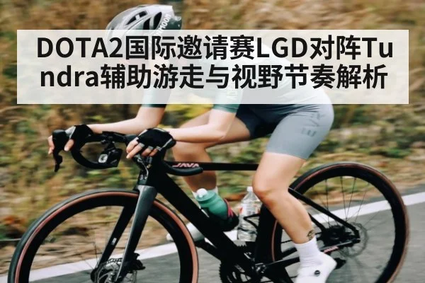 DOTA2国际邀请赛LGD对阵Tundra辅助游走与视野节奏解析