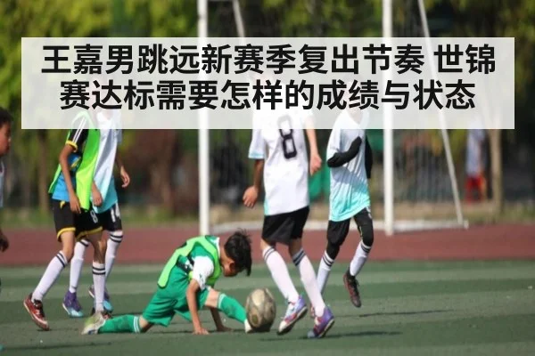 王嘉男跳远新赛季复出节奏 世锦赛达标需要怎样的成绩与状态